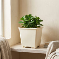 Bulb Planter Square Planter Resin Planter, Breathable Planter for Indoor Plant Pot Use, Simple Style Outdoor Pot and Tray Set with Drip Tray