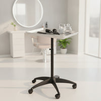 Adjustable Height Salon Tray with Stand Professional Rolling Salon Tray Mobile Hairdresser Trolley Movable for Hairdressers, Stylists, Beauticians, Salons, Hair Studios, Beauty Parlors