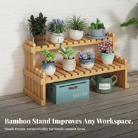 Space-Saving Miniature Tiered Plant Shelf small Size 2-Tier Display Rack Decorative Home Decor Multi-Functional for Office Workers, Homeowners, Students, sillsill, Living Room, Countertop