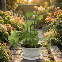 Garden Trellis for Climbing Plants and Outdoor Plants, 24 Pack of Plastic Plant Support for Potted Plants, Stackable Trellis for Indoor Plants