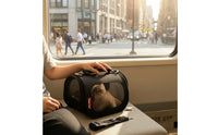 Ventilated Pet Carrier Bag with Shoulder Strap Mesh Pet Carrier with Shoulder Strap Multi-Entry Breathable for Small Pets, Kittens, Young Dogs, Travel, Vet Visits, Car Rides