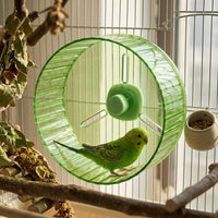Parrot Running Wheel Bird Exercise Wheel, Small Bird Wheel, Screw-on Wheel Bird Cage Accessory for Cockatiel Parakeet