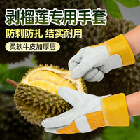 Thick Protective Gloves for Durian Handling