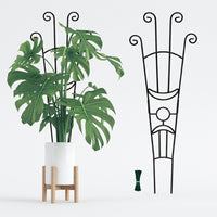 Indoor Plants Garden Trellis for Climbing Plants, Carbon Steel Monstera Support and Plant Support, Tall Garden Trellis