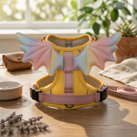 Rainbow Feathered Harness Metal Loop Pet Accessory Soft Padding