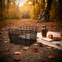 Rear Bike Basket Thickened Frame Transport Gear Anti for Delivery