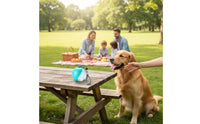 Foldable Silicone Water Bottle Lightweight Foldable Pet Water Bottle for Outdoor