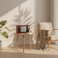 Vintage Television Model with Antenna Decorative Television Ornament with Antennae Collectible Prop for Photography