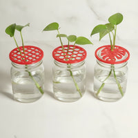 3 Pieces Openwork Propagation Tray Lid Round Propagation Lid Plastic Reusable for Gardeners, Growers, Hydroponics, Windowsill