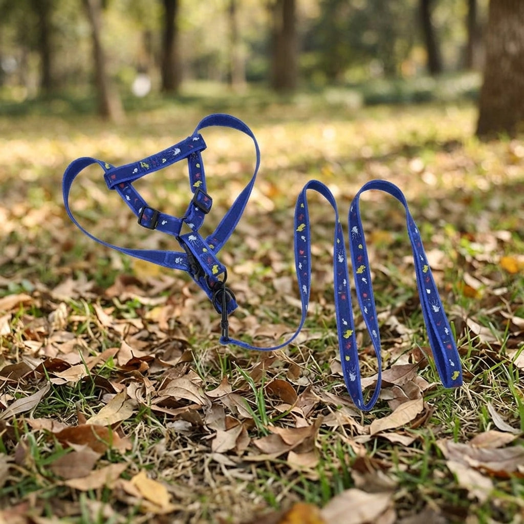 Small Dog Harness and Small Dog Leash Nylon Pet Dog Walking Set and Cat Walking Set, Not Retractable Training Outdoor Walking Gear