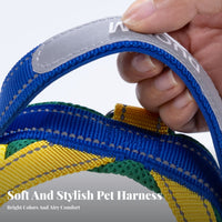 Breathable Vest Design Dog Harness Soft Padded Dog Chest Harness and Leash Set Lightweight for Dogs, Training, Outdoor, Running