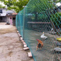 Insect-proof Net Animal Damage Control For Gardening Dark Green Fence Outdoor Animal Enclosure Polyethylene Flexible Material