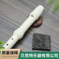 BST Soprano 8-Hole Recorder for School Music