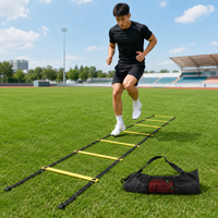 agility ladder