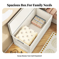 foldable Framed Organizer Foldable Clothing Container for Dorm Room, Families