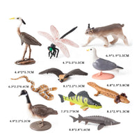 10 Pieces Hand-Painted Animal Figurines High Quality Plastic Animal Figures Miniature Forest Creature Figurines Sturdy for Collectors, Kids, Classroom