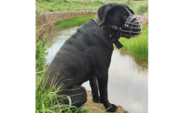 Metal Dog Muzzle Allows Panting Wire Dog Muzzle Comfortable Padding