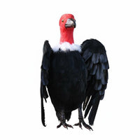 Figurine Educational Toy Realistic Bird Model Plumage Bird Statue for Halloween