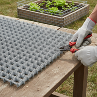 Galvanized Welded Wire Mesh for Fencing and Construction