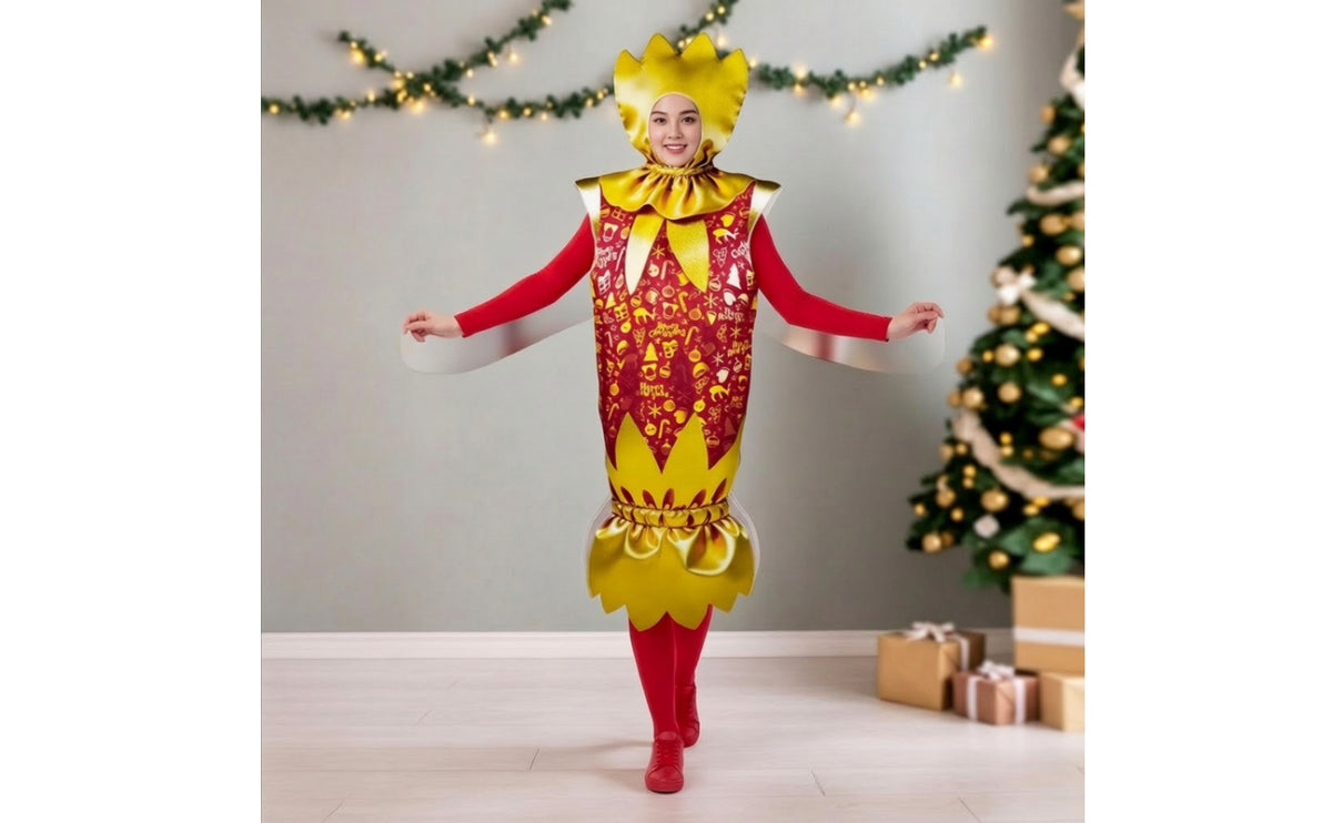 Gift Box Costume Festive Present Package Costume Hooded Apparel for Entertainers, Cosplayers, Stage Performances, Photo Shoots