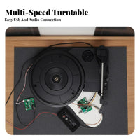 3-Speed Turntable with Tonearm DIY Friendly Record Player Turntable Mechanism Built-in Preamp Phonograph Core Assembly for Hobbyists