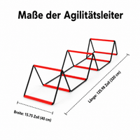 agility ladder