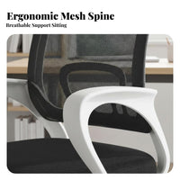 Supports Long Sitting Ergonomic Computer Chair Height Adjustable Mesh spine rotating Chair Lumbar Support Office Furniture Breathable spinerest for Students, Home Users, Remote Workers, Study Room