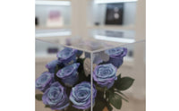 Acrylic Flower Gift Box Handmade Maintained Floral Display Box Dustproof Sustained Rose Display Case for Girlfriend, Wife, Valentine's Day, Engagement