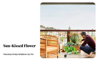 Floral Shaped Plant Trellis Modular Sweet-Treat Design Plant Stand Indoor Outdoor Use Houseplant Support for Potted Plants, Balcony