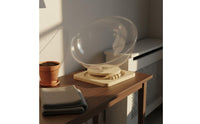Space Capsule Cat Bed Wood Base Rotating Cat Nest Transparent Outer Layer Capsule Pet Bed for Indoor