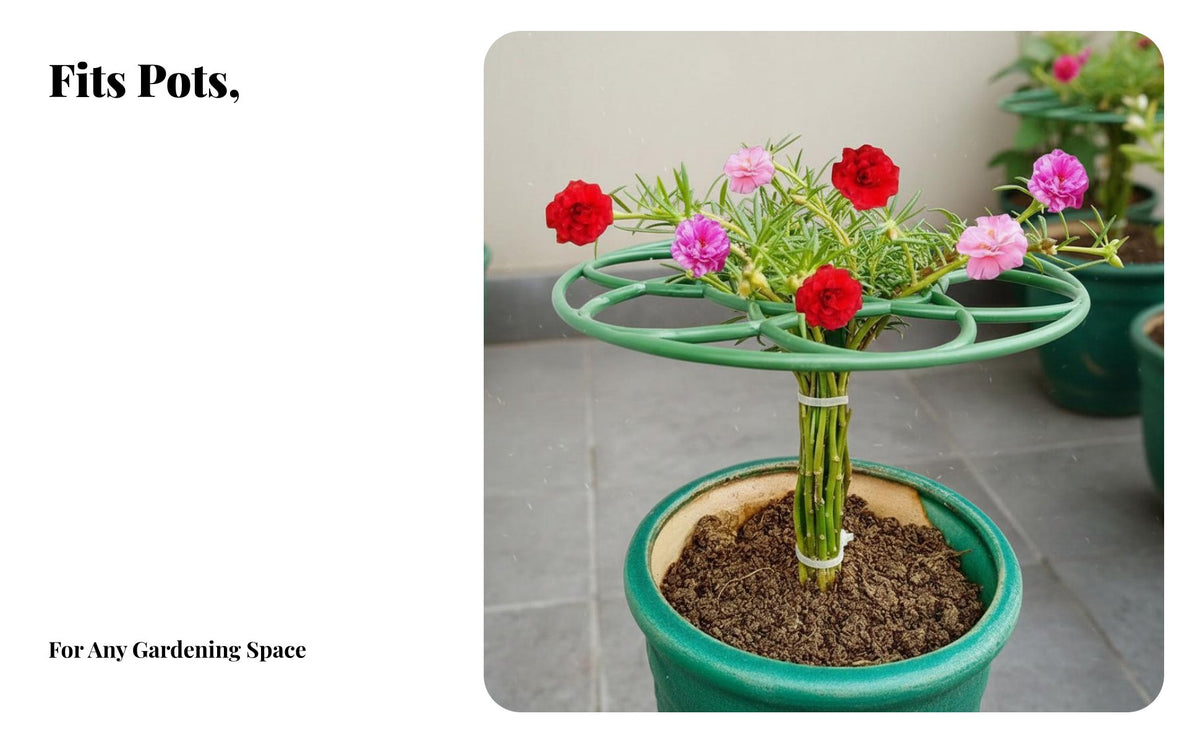 Globe Plant Shaping Frame Prevents Drooping Anti-Lodging Plant Holder Promotes Upright Growth Flower Support Cage for Indoor, Balcony, Patio