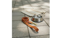 Matching and Leash Combo Stylish Design Patterned Dog Walking Set Adjustable Dog with Leash for Medium Dogs, Outdoor, Training
