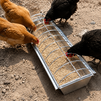 Steel Poultry Feeder, Polished Silver Chicken Feeder for Smallholders, Weatherproof & Vermin Resistant