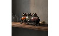 Witchy Seasoning Jar Unique Gift Gothic Frog Seasoning Container for Countertop