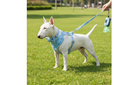 Easy to Wear Velvet Dog Harness Leash Set Adjustable Dog Vest Leash Set Lightweight Slip-on Harness Breathable for Walking, Outdoor