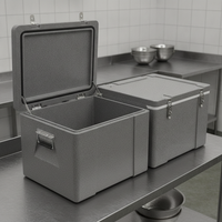 Food Grade EPP Insulated Cooler Box for Outdoor Catering and Cold Chain Transport