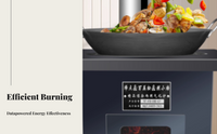 Cast iron dual-fuel stove, manual