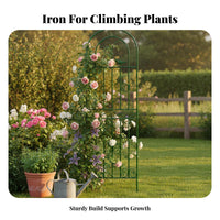 Large Metal Garden Trellis 120cm x 50cm, Sturdy Iron Plant Support for Climbing Plants, Outdoor Decorative Trellis for Roses & Vines