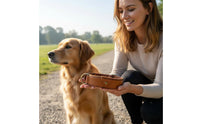 Dog Positioning Device Leather Dog Heavy Duty Buckle for Outdoor, Walking, Travel