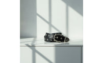 Classic Belt with Star Studs Rock Icon Belt Punk Goth for Concerts
