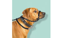 Integrated Collar Design Dog Muzzle Leash Set Walk Control Anti-Bark Dog Harness Leash for Outdoor