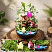 10cm Desktop Moss Mini Landscape Small Potted Live Plant Kindergarten Cut Eco Bottle DIY Kit