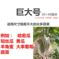尼龙水果套袋果实防鸟虫专用网袋葡萄无花果石榴番茄草莓保护袋