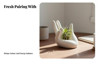Hand Shape Air Plant Stand Minimalist Design Air Plant Display Ceramic Tillandsia Holder Simple and Elegant for Shelf, Office