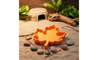 Maple Foliage Pet Bowl Easy to Clean Foliage Shaped Feeding Bowl Gecko Feeding Tray Sleek Surface Amphibian Food Plate