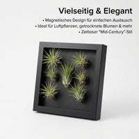 Hanging Plant Frame, Black Tillandsia Holder, Square MDF Plant Frame, Retro Wall Decor for Office & Bedroom