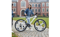 Carbon Steel Frame Multi-Speed Mountain Bike Multiple Wheel Styles Disc Brake Mountain Bike Outdoor Recreation Equipment for Commuting