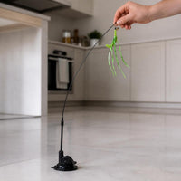 Cat Teaser Wand with Suction Cup Base and Feather/Foxtail Attachments