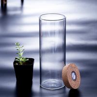 Miniature Ecosystem Glass Fish Tank with Remote Control LED Light for Desktop Decor