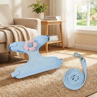 Cat Vest Harness with Leash Set, Breathable Vest Style Suitable for Cats, Adjustable Strap for Cat Walking Harness